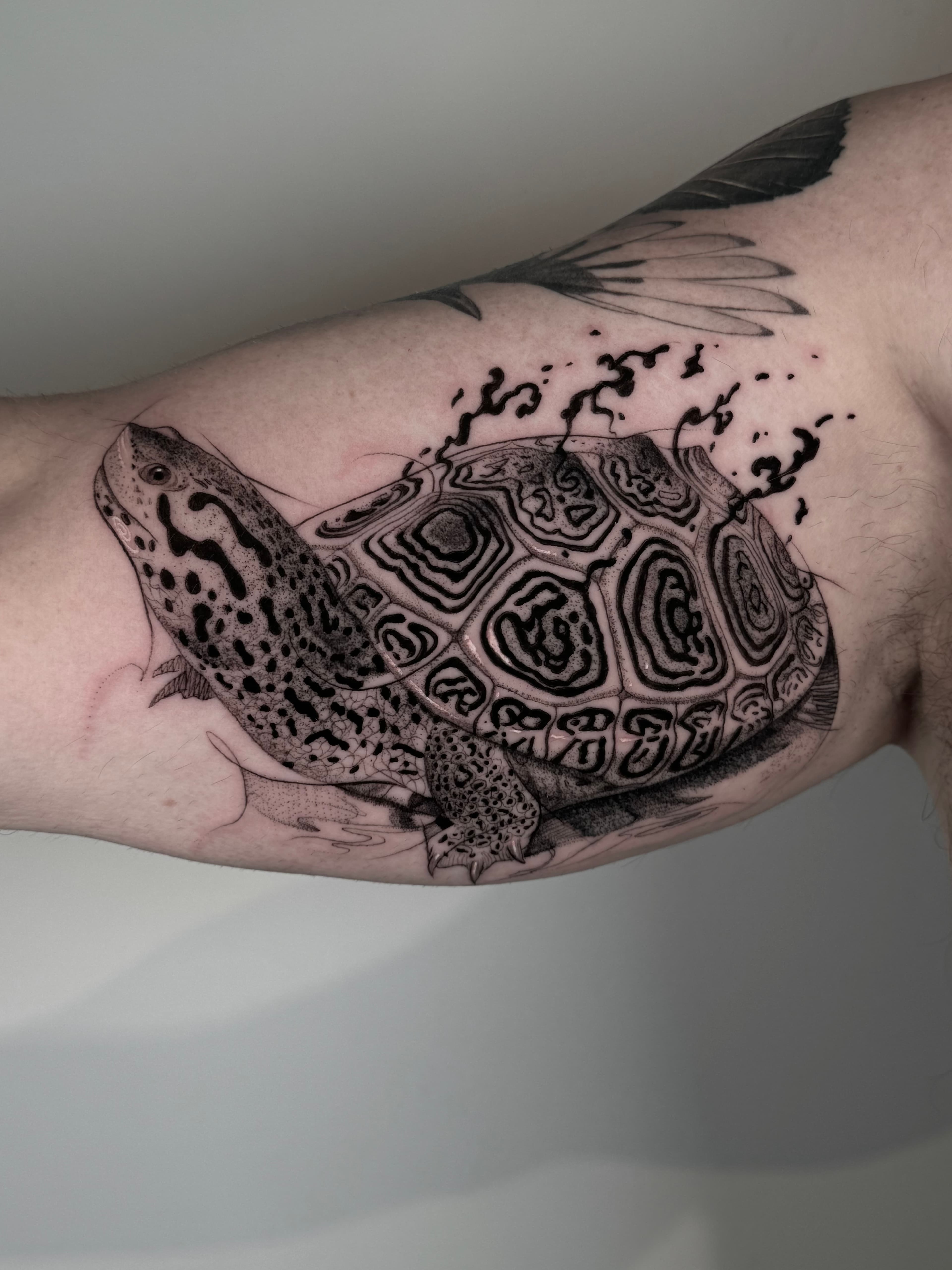 Tattoo 14